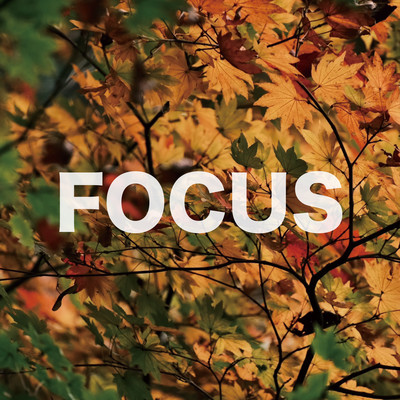 Focus