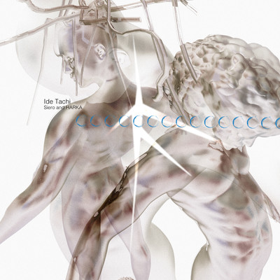 Ide Tachi