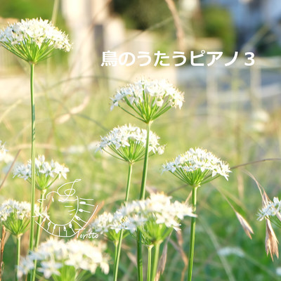 TORINOUTAUPIANO3