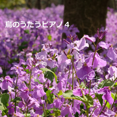 TORINOUTAUPIANO4