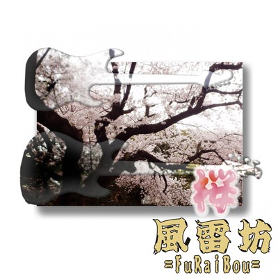 Cherry blossom