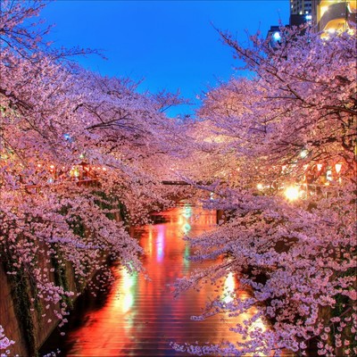 there flower in my heart