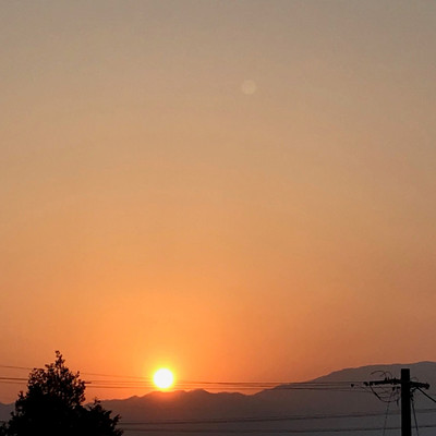 I can't be Sherlock Holmes.