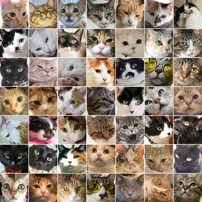 Four foots your hero (2020ver.)