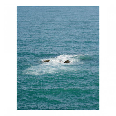 orca note