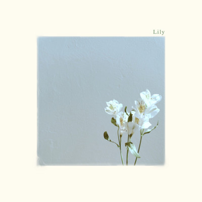 Lily