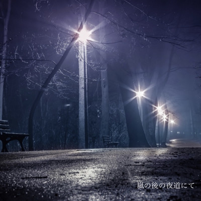 On the night road after the storm