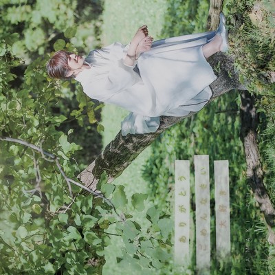 arigatou gomennasai daisuki