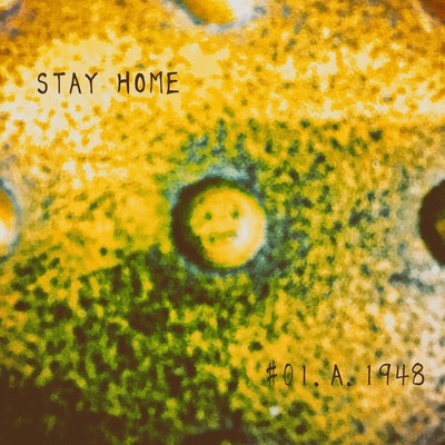 STAY HOME