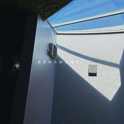 no matter what you say.