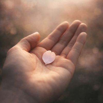 Spring is already here