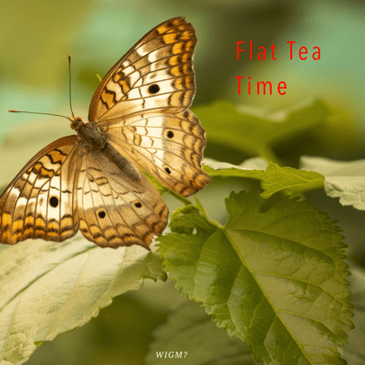 Flat Tea Time