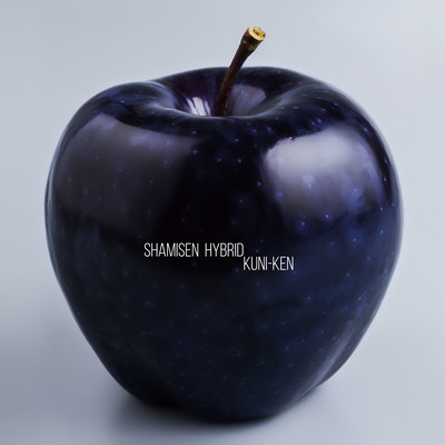 SHAMISEN HYBRID