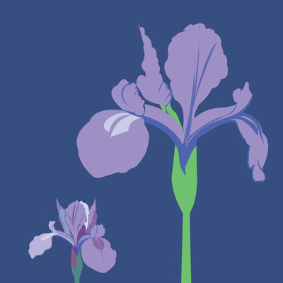 Hibiki Sanshin (2025 Remaster)