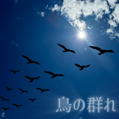 Torinomure