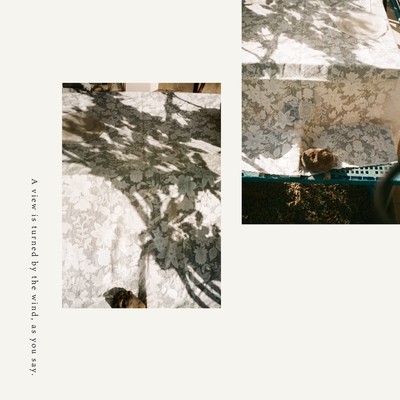 A view is turned by the wind, as you say.