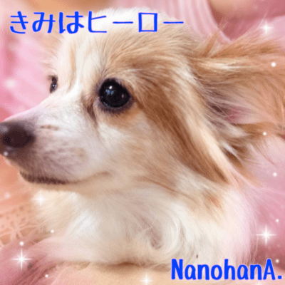 You're My Hero