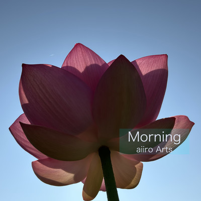Morning