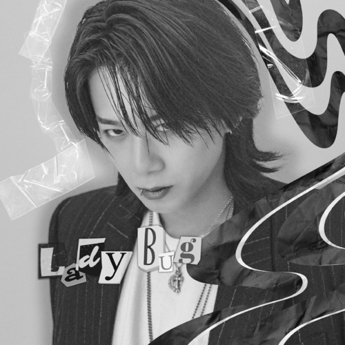 Lady Bug