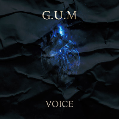 VOICE