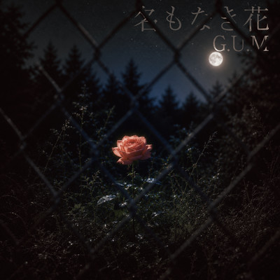 Nameless Flower