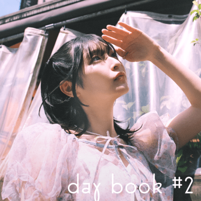 daybook #2