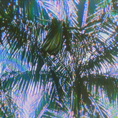 Summer Guys