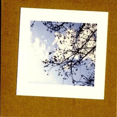 on the midnight line/become the wind