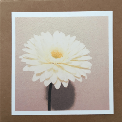 like a flower
