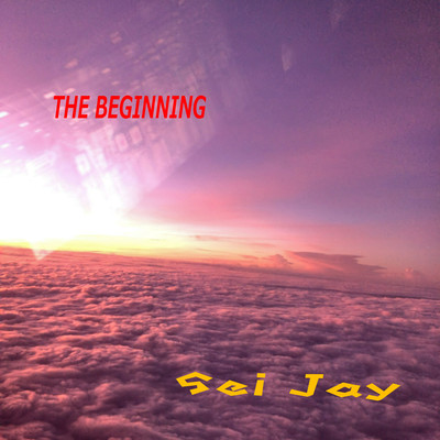 THE BEGINNING