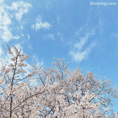 Blooming Lens