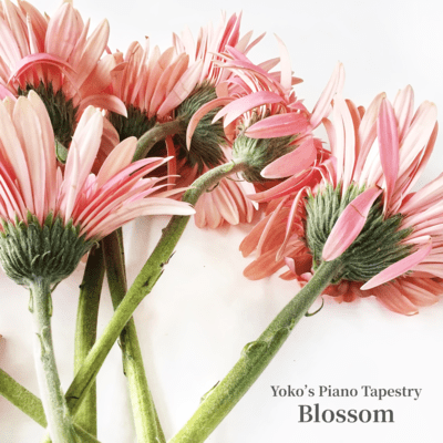 Blossom ~Yoko's Piano Tapestry