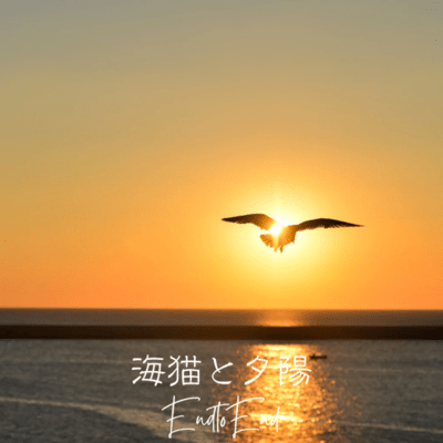 seagull with sunset
