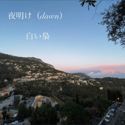 Dawn