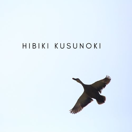 Hibiki Kusunoki