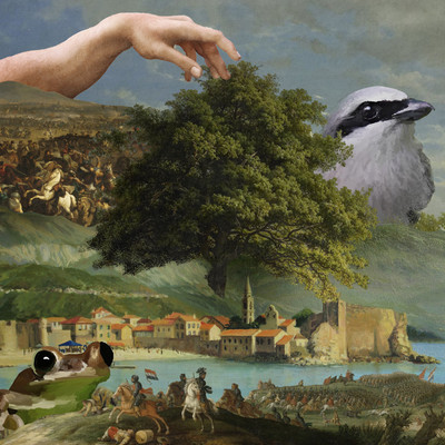 The World Tree loved by everyone