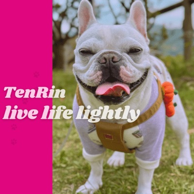 live life lightly
