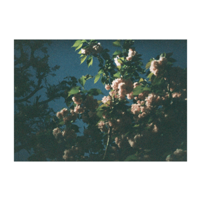 Aubade / Haru no Yuutsu