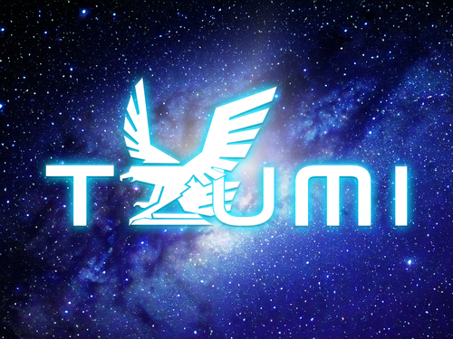 TZUMI