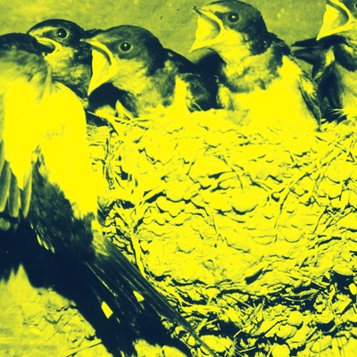 LuckyCard/TsukiGaNoboreba