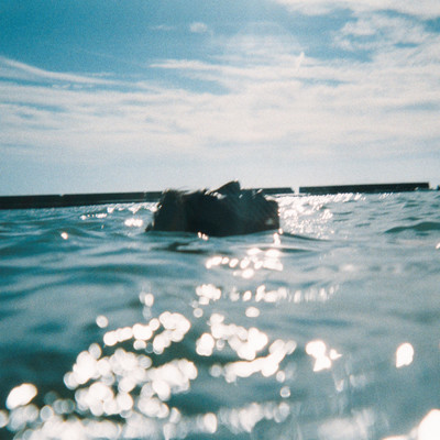 I've given up on giving up