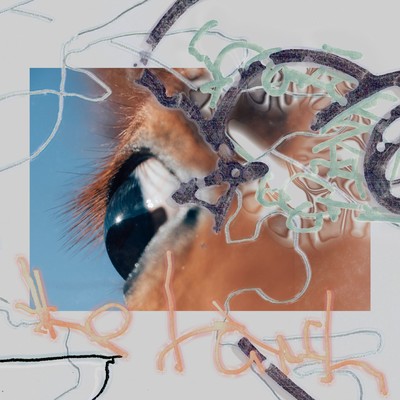 shape of raw to come