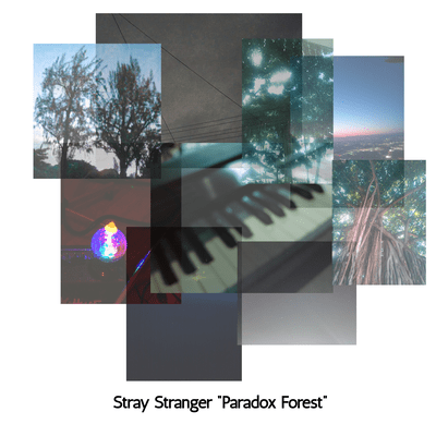 Paradox Forest