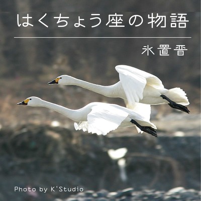 The Story of Swans