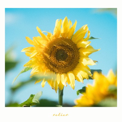 Sun flower (feat. Lem)