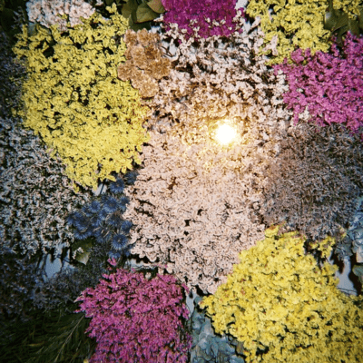 Fragment