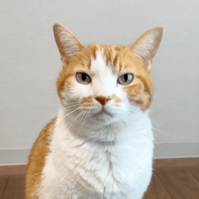 When I speak, it becomes baby talk (Short Ver.)