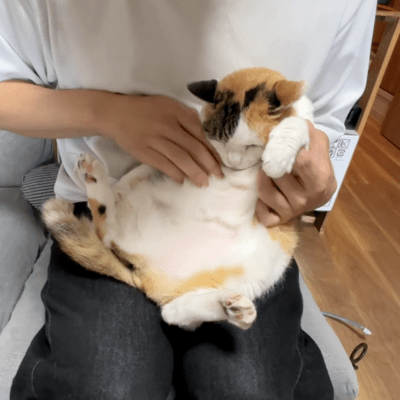 Where's the belly button?