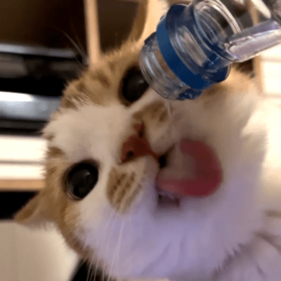 Direct Water Is the Best