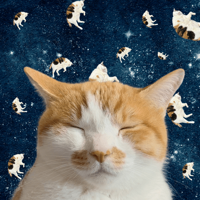 With Purrs and Fluff